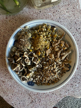 Load image into Gallery viewer, Lungs of love