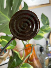 Load image into Gallery viewer, Honey Lemon Ginger Lollipops – Natural Soothing Pops