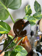 Load image into Gallery viewer, Honey Lemon Ginger Lollipops – Natural Soothing Pops