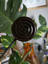 Load image into Gallery viewer, Honey Lemon Ginger Lollipops – Natural Soothing Pops