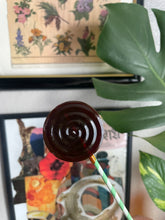 Load image into Gallery viewer, Honey Lemon Ginger Lollipops – Natural Soothing Pops
